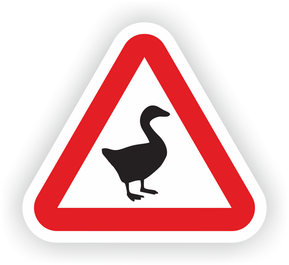 Goose Alert